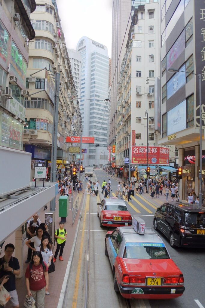 タクシーでペットと同乗可能なサービスはどこで利用できる？