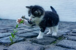 タクシー求人の口コミは本当に信頼できる？